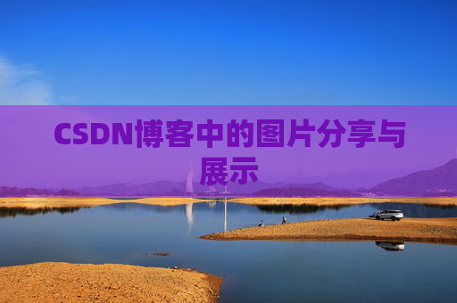 CSDN博客中的图片分享与展示